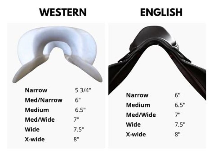 Do I need a wider saddle?