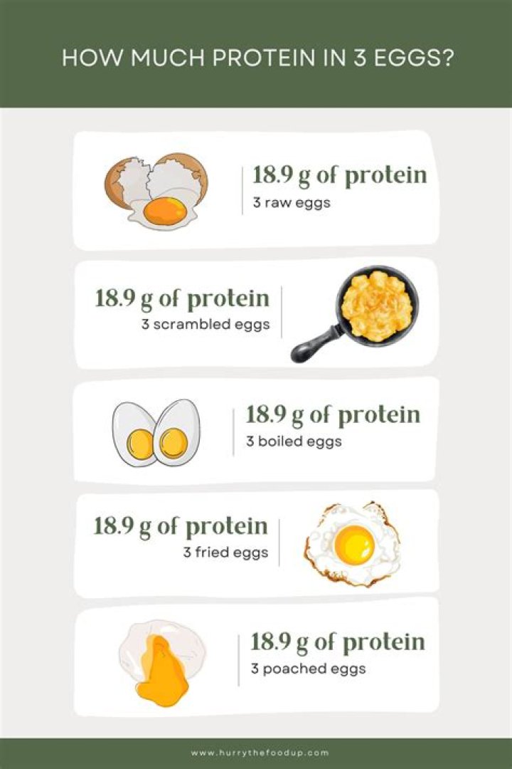 How can I get protein without eggs?