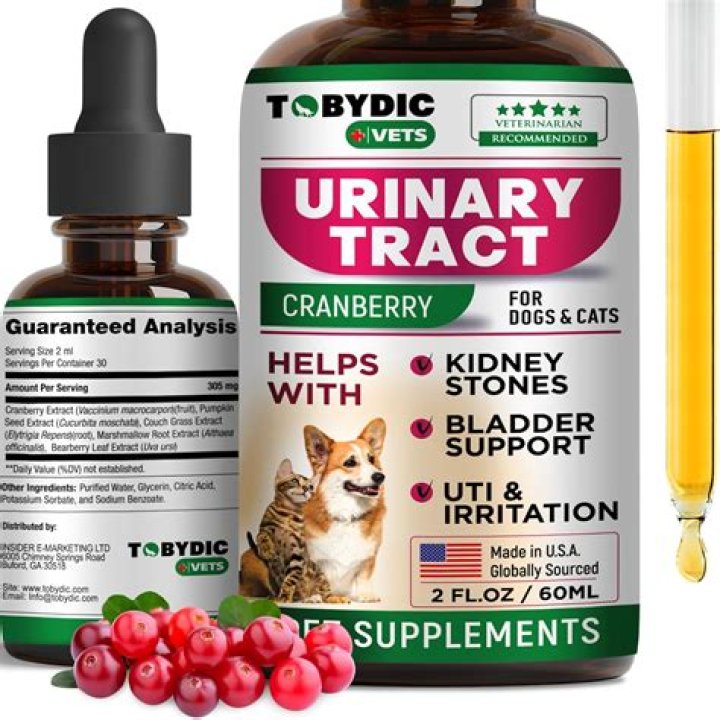 How do they test for kidney infections?