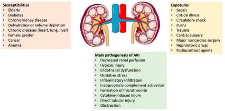 How fast does Cipro work for kidney infection?