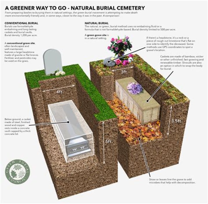 How long do cremated ashes last in the ground?