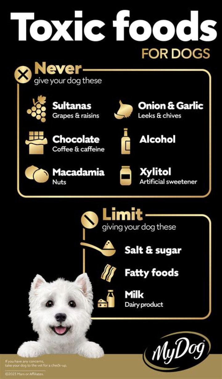 How much borax is toxic to dogs?