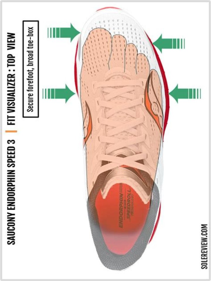 How should Vans shoes fit?