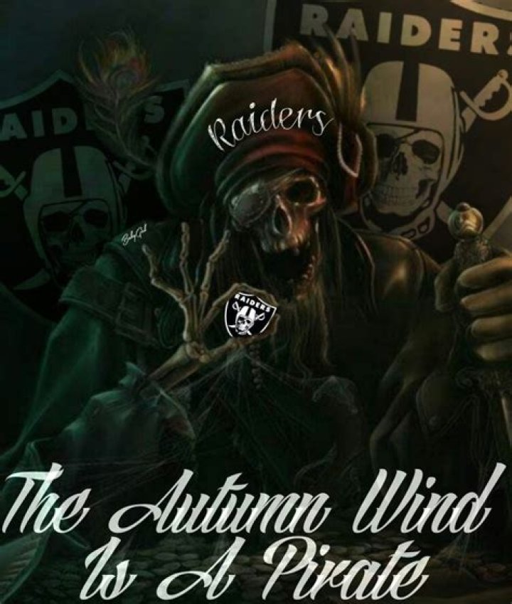 Is a raider a pirate?