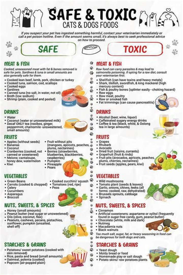 Is fox urine toxic to dogs?