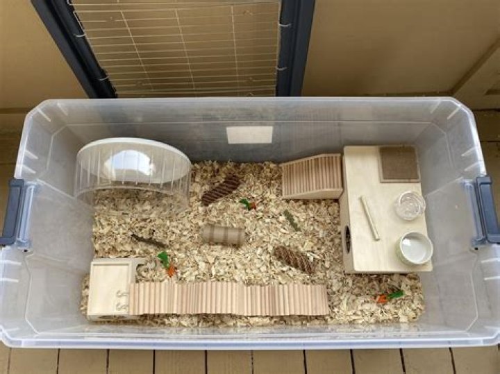 Is it OK to put dead hamster in bin?