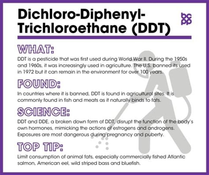 What does DDT stand for?