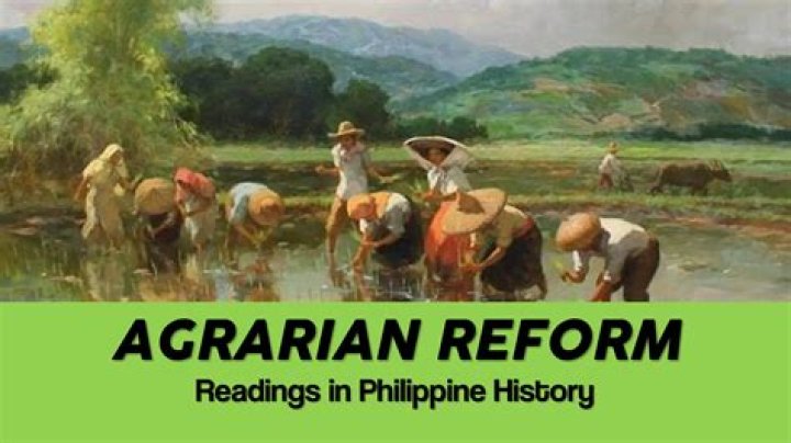 What is a reform in history?