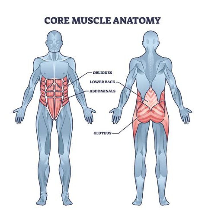 What muscles help you dunk?