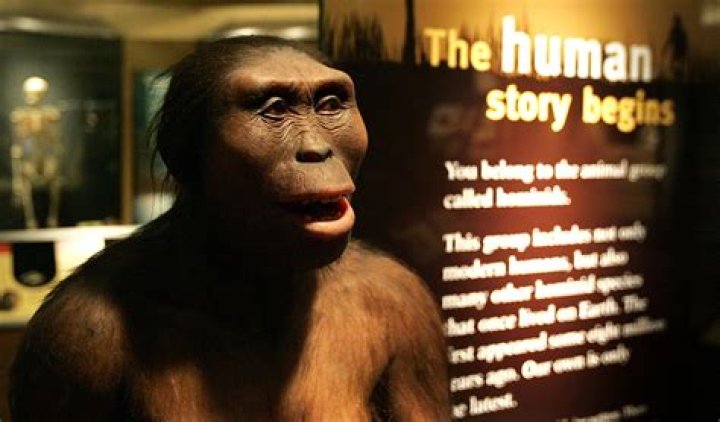 Who was the first human in India?
